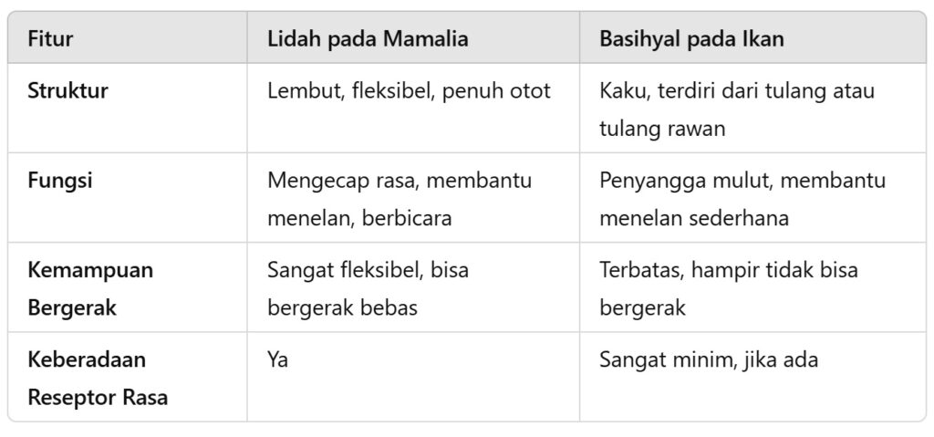 lidah mamalia dan basihyal pada ikan